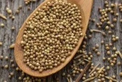 Pluys Koriander / 500g