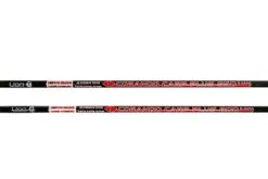 Lion Corando PT2 With Sic