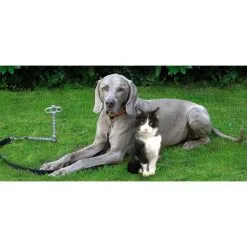 Peggy Peg Pet Peg T-haring -Exporteren Hengels Winkel 70813 peggy peg pet peg t haring